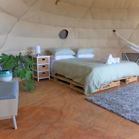 1 Waipu Off-Grid Eco Seaview Geodesic Glamping Dome Otel Dış mekan fotoğraf